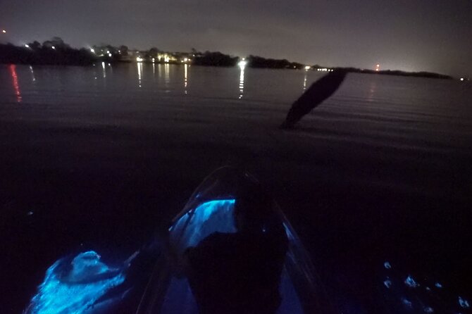 Clear Kayak Bioluminescence Tour