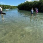 1 clear kayak tours in fort pierce Clear Kayak Tours in Fort Pierce