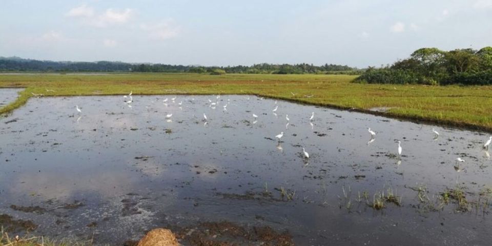 1 coastal village cycling expedition in galle Coastal Village Cycling Expedition in Galle