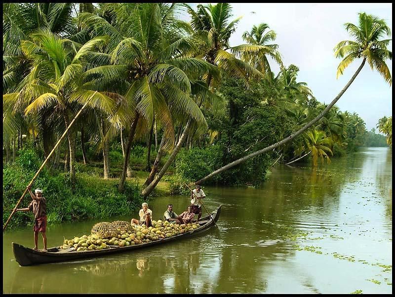 1 cochin alleppey backwater private day cruise by houseboat Cochin: Alleppey Backwater Private Day Cruise by Houseboat