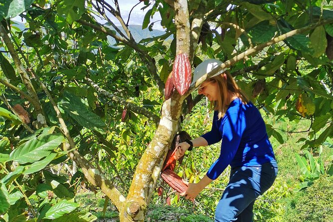 Coffee & Chocolate Private Tour: Two Farms – One Incredible Experience