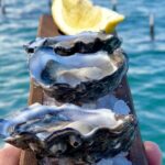 1 coffin bay oysters ocean nature tour Coffin Bay Oysters, Ocean & Nature Tour