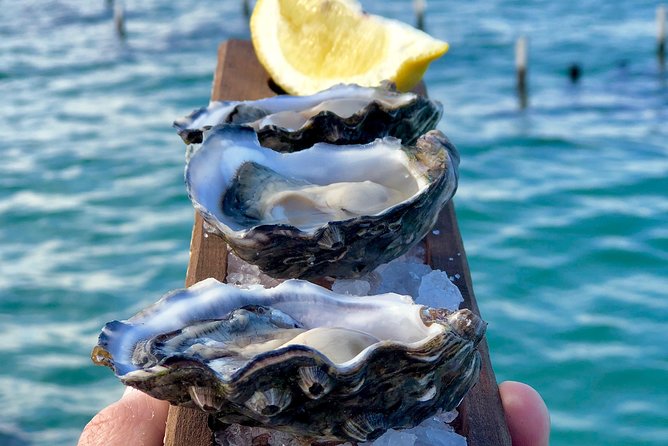 Coffin Bay Oysters, Ocean & Nature Tour