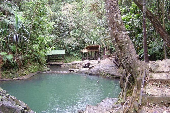 1 colo i suva waterfall tour suva Colo-i-Suva Waterfall Tour (Suva)