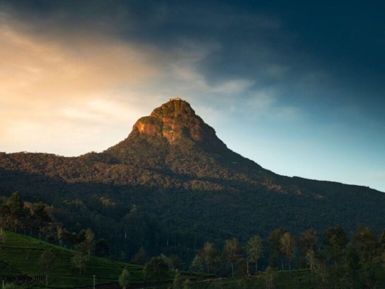 Colombo/ Negombo to Summit Thrills: Adams Peak Hike