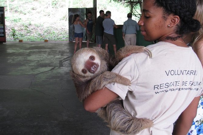 Combo: Gatun Lake & Canal Wildlife Boat Tour and Sloth Sanctuary