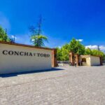 1 concha y toro wine tour Concha Y Toro Wine Tour