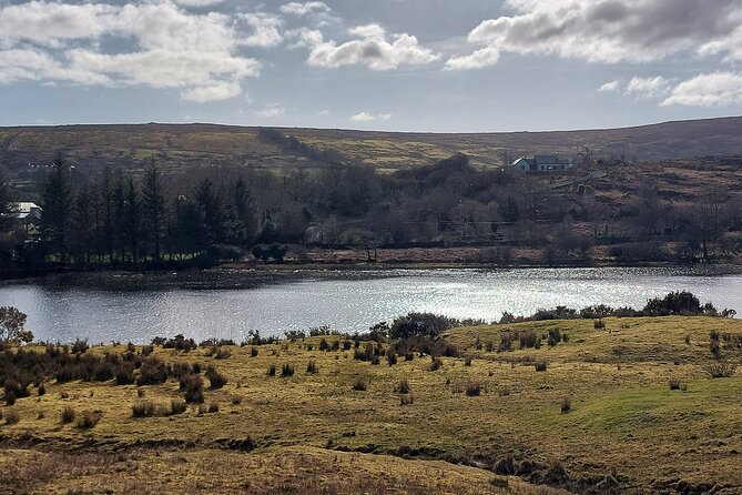 Connemara, Kylemore Abbey, Ross Errily and Sky Road Private Tour From Galway