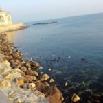 1 constanta roman history sightseeing tour with wine tasting Constanta: Roman History Sightseeing Tour With Wine Tasting