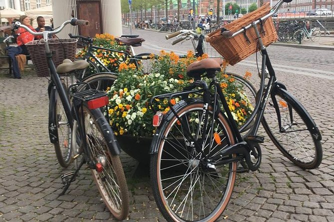 Copenhagen Small-Group Cycling Tour