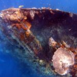 1 coral garden and liberty shipwreck intro to scuba diving mar Coral Garden and Liberty Shipwreck Intro to Scuba Diving (Mar )