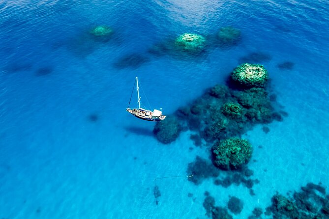 Coral Sea Dreaming: Overnight Dive, Snorkel & Sail From Cairns