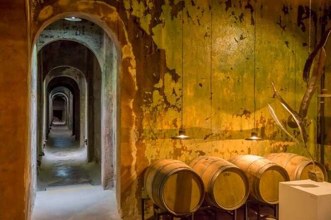 Córdoba: All-Inclusive Private Winery Tour With Lunch (Mar )