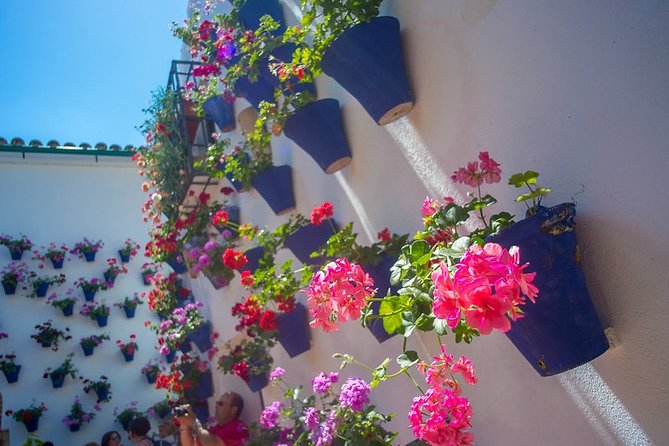 Cordoba Guided Visit to the Popular Patios