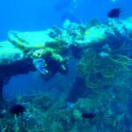 1 coron private tour d reef and wrecks Coron Private Tour D: Reef and Wrecks