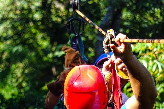 Costa Rica Monkey Jungle Zipline From Tamarindo