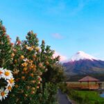 1 cotopaxi full day from quito including entrances Cotopaxi Full-Day From Quito Including Entrances