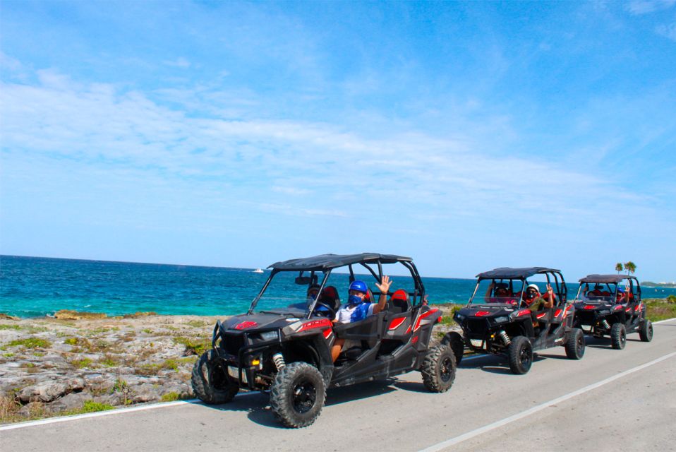 1 cozumel 4x4 tour to mayan cacao company and bee sanctuary Cozumel: 4x4 Tour to Mayan Cacao Company and Bee Sanctuary