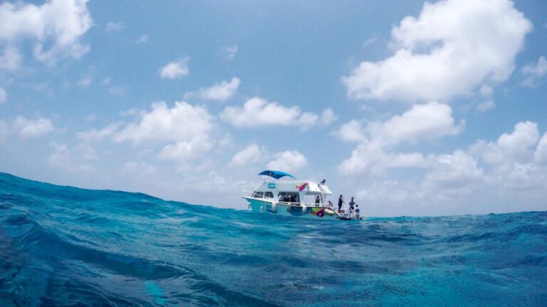 Cozumel: Reef Adventure With Snorkeling and Lunch