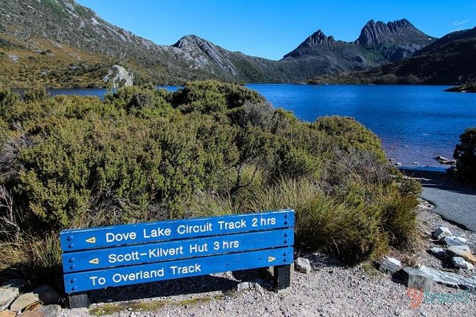 Cradle Mountain Guided Walk With Gourmet Hamper