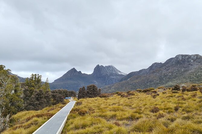 Cradle Mountain National Park Day Tour From Launceston