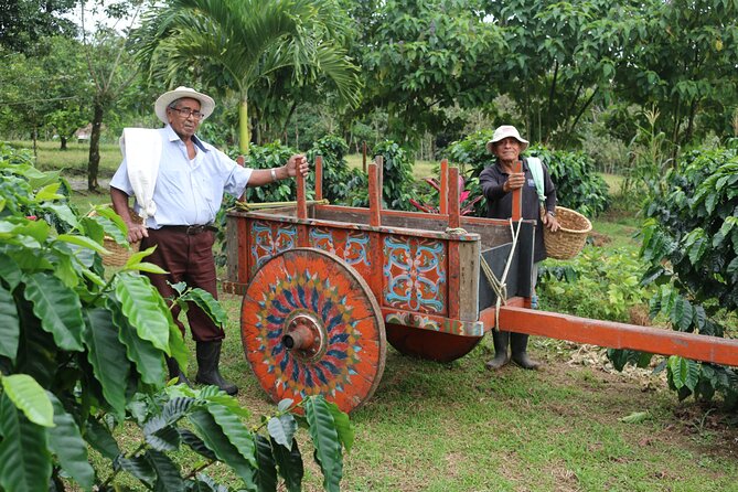 Craft Specialty Coffee and Chocolate Tour at North Fields, La Fortuna Costa Rica