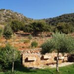 1 crete olive farm visit plus dinner and cultural performances mar Crete Olive Farm Visit, Plus Dinner and Cultural Performances (Mar )