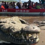 1 crocodile man tour the original Crocodile Man Tour THE ORIGINAL
