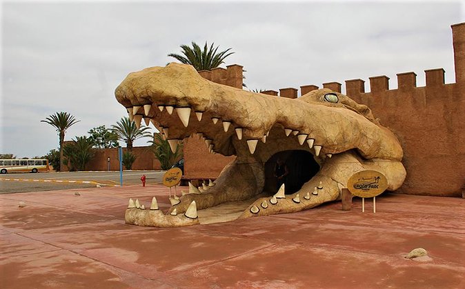 Crocoparc Tour in Agadir