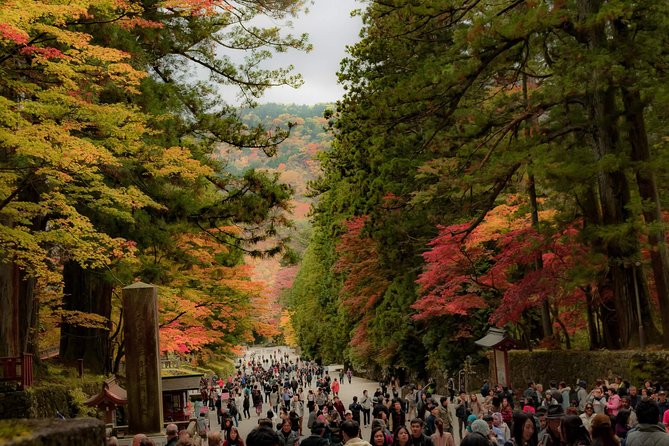 Customizable Private Half-Day Tour of Nikko (Mar )