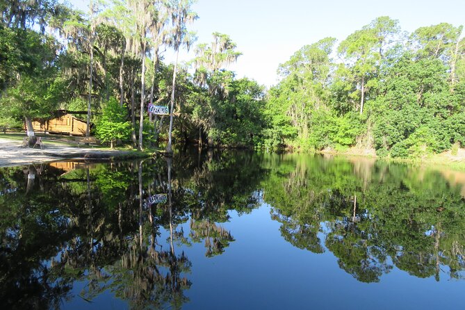 Cypress Forest Guided Kayak Nature Eco-Tour