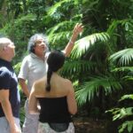 1 daintree park and cape tribulation with aboriginal guide mar Daintree Park and Cape Tribulation With Aboriginal Guide (Mar )