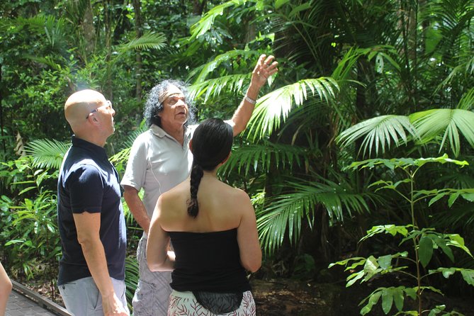 Daintree Park and Cape Tribulation With Aboriginal Guide (Mar )