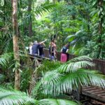 1 daintree rainforest and mossman gorge full or half day tour Daintree Rainforest and Mossman Gorge - Full or Half Day Tour