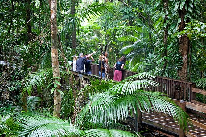 Daintree Rainforest and Mossman Gorge – Full or Half Day Tour