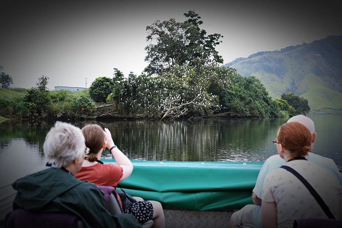 1 daintree river wildlife cruise early morning Daintree River Wildlife Cruise - Early Morning