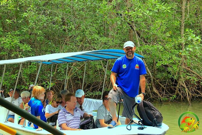 Damas Mangrove Boat Tour