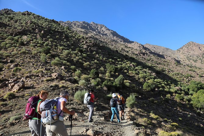 Day Excursion in the Atlas Mountains