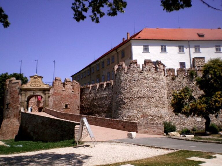 Day Tour of Pécs and Siklós With Villány Wine Tasting