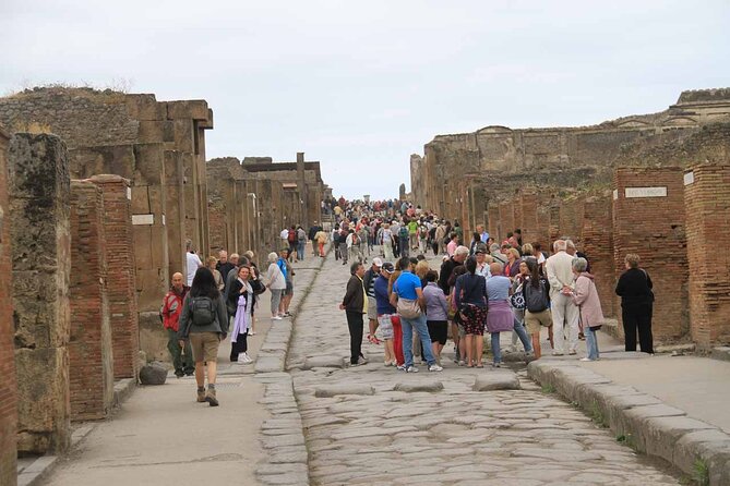 Day Trip of Pompeii, Herculaneum and Vesuvius From Naples