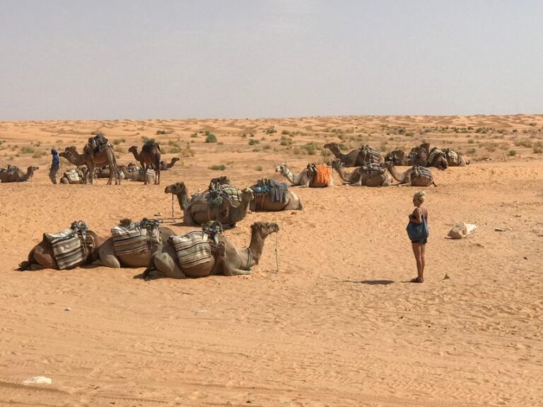 Day Trip to Desert to Ksar Ghilane From Djerba or Zarzis