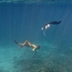 1 day trip to nusa penida 4 snorkeling spots land tour Day Trip to Nusa Penida : 4 Snorkeling Spots & Land Tour