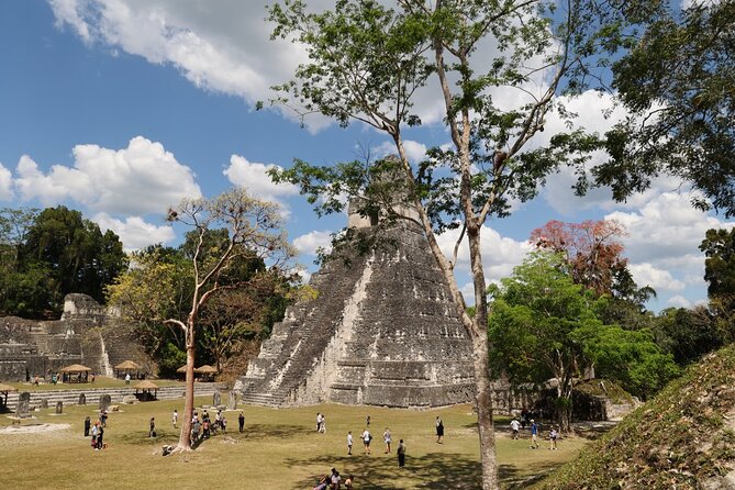 Day Trip to Tikal Maya Ruins Including Lunch