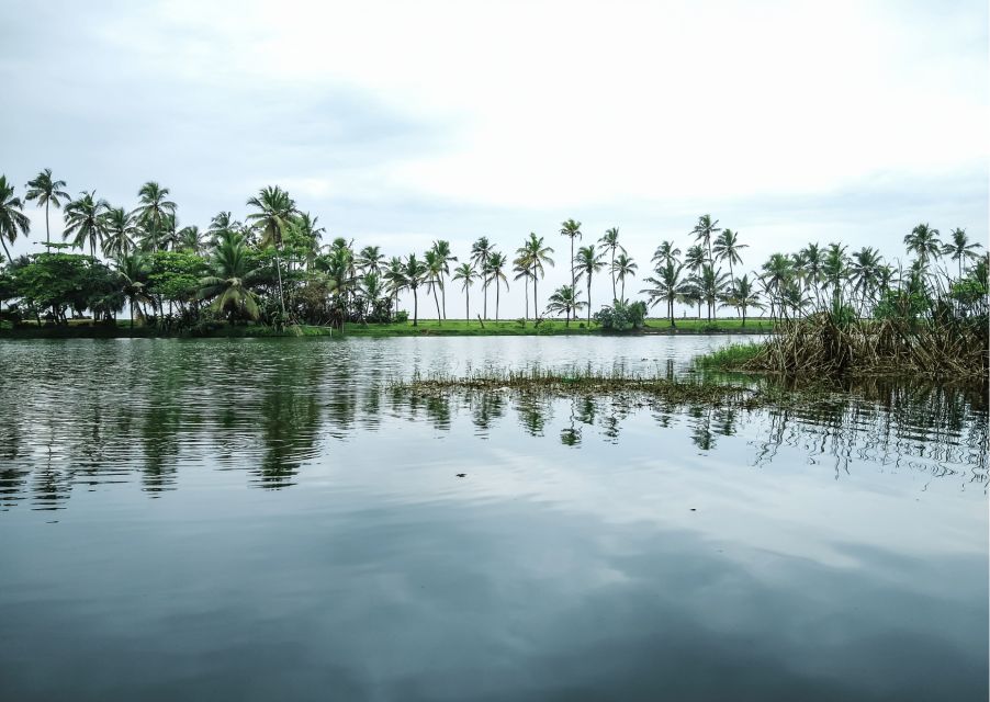 1 day trip to varkala from trivandrum guided full day tour Day Trip to Varkala From Trivandrum (Guided Full Day Tour)