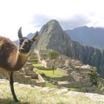 1 day trip tour to machu picchu from cusco Day Trip Tour to Machu Picchu From Cusco