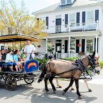 1 daytime horse drawn carriage sightseeing tour of historic charleston Daytime Horse-Drawn Carriage Sightseeing Tour of Historic Charleston