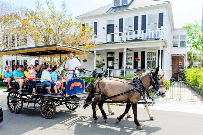 1 daytime horse drawn carriage sightseeing tour of historic charleston Daytime Horse-Drawn Carriage Sightseeing Tour of Historic Charleston
