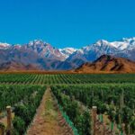 1 daytour to mendoza wineries Daytour to Mendoza Wineries