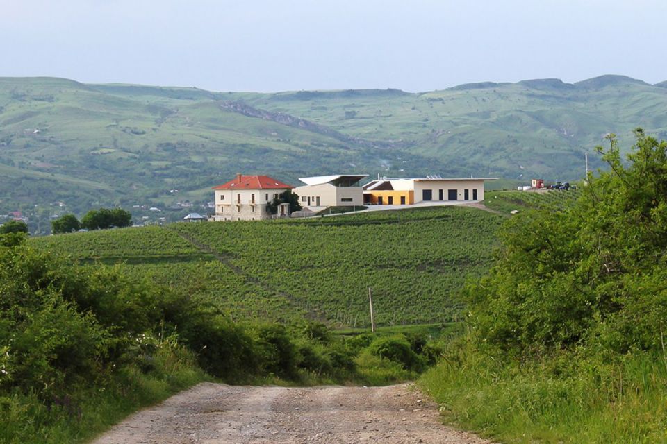 1 dealu mare wineries wine tasting tour on the old wine road Dealu Mare Wineries: Wine Tasting Tour on the Old Wine Road