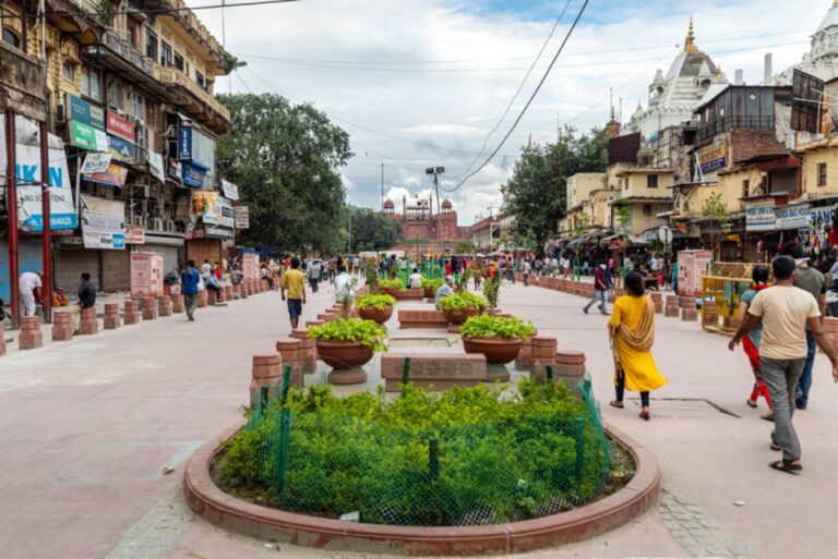 Delhi: Old Delhi City Tour With Tuk Tuk Ride & Street Food